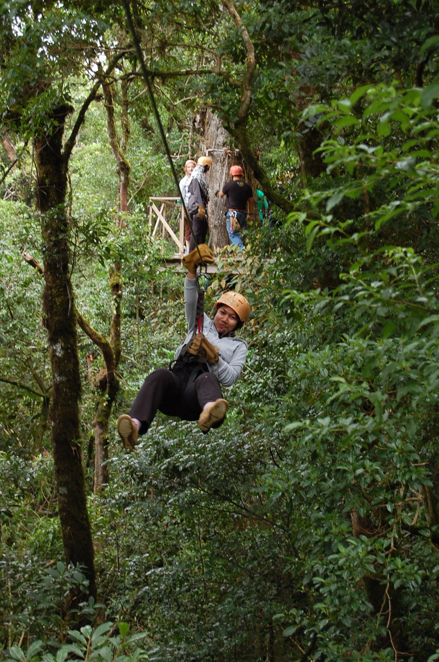 Zip Lining Costa Rica Costa rica tours